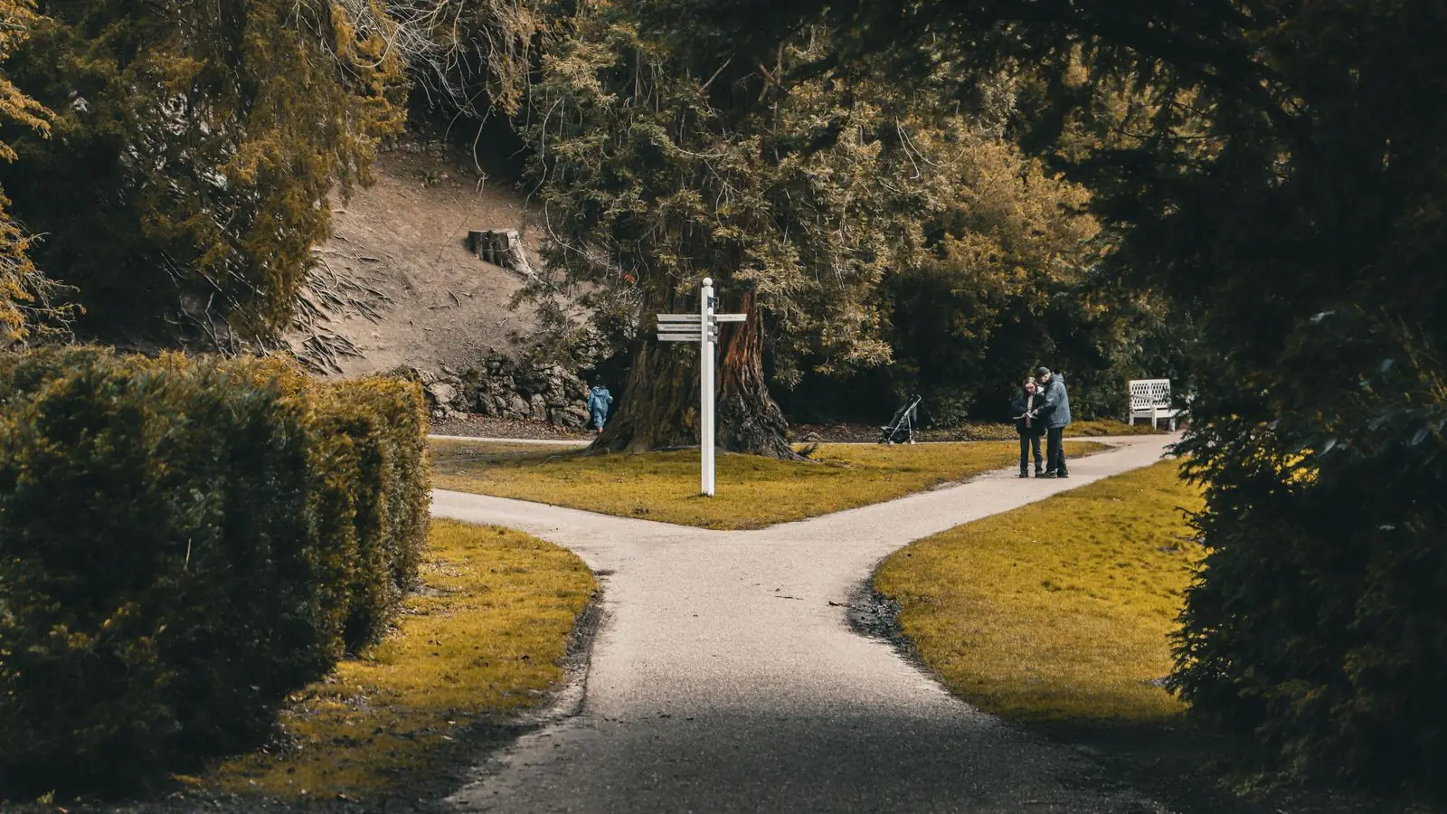 A forked path in a park with a signpost pointing different ways